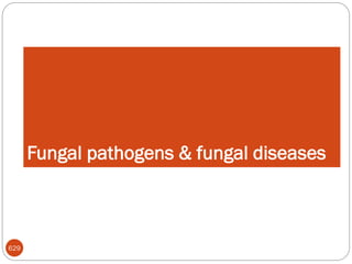 Fungal pathogens & fungal diseases
629
 