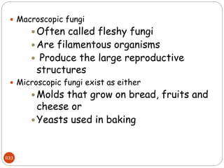 633
 Macroscopic fungi
 Often called fleshy fungi
 Are filamentous organisms
 Produce the large reproductive
structures
 Microscopic fungi exist as either
 Molds that grow on bread, fruits and
cheese or
 Yeasts used in baking
 