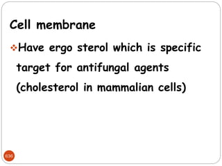 636
Cell membrane
Have ergo sterol which is specific
target for antifungal agents
(cholesterol in mammalian cells)
 