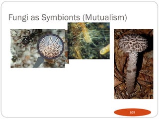Fungi as Symbionts (Mutualism)
639
 