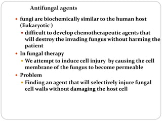 649
 fungi are biochemically similar to the human host
(Eukaryotic )
 difficult to develop chemotherapeutic agents that
will destroy the invading fungus without harming the
patient
 In fungal therapy
 We attempt to induce cell injury by causing the cell
membrane of the fungus to become permeable
 Problem
 Finding an agent that will selectively injure fungal
cell walls without damaging the host cell
Antifungal agents
 