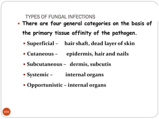 656
TYPES OF FUNGAL INFECTIONS
 There are four general categories on the basis of
the primary tissue affinity of the pathogen.
 Superficial – hair shaft, dead layer of skin
 Cutaneous – epidermis, hair and nails
 Subcutaneous – dermis, subcutis
 Systemic – internal organs
 Opportunistic – internal organs
 