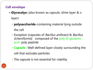 66
Cell envelope
 Glycocalyx: (also known as capsule, slime layer & s-
layer)
 polysaccharide-containing material lying outside
the cell
 Exception (capsules of Bacillus anthracis & Bacillus
licheniformis) composed of the poly-D-glutamic
acid poly peptide
 Capsule : Well-defined layer closely surrounding the
cell that excludes particles
 The capsule is not essential for viability
 