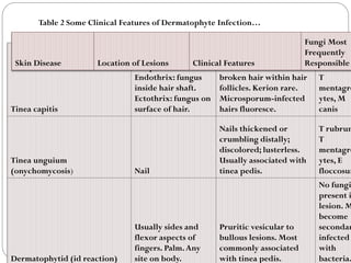 662
Tinea capitis
Scalp hair.
Endothrix: fungus
inside hair shaft.
Ectothrix: fungus on
surface of hair.
Circular bald patches
with short hair stubs or
broken hair within hair
follicles. Kerion rare.
Microsporum-infected
hairs fluoresce.
T
mentagro
ytes, M
canis
Tinea unguium
(onychomycosis) Nail
Nails thickened or
crumbling distally;
discolored; lusterless.
Usually associated with
tinea pedis.
T rubrum
T
mentagro
ytes, E
floccosum
Dermatophytid (id reaction)
Usually sides and
flexor aspects of
fingers. Palm.Any
site on body.
Pruritic vesicular to
bullous lesions. Most
commonly associated
with tinea pedis.
No fungi
present i
lesion. M
become
secondar
infected
with
bacteria.
Skin Disease Location of Lesions Clinical Features
Fungi Most
Frequently
Responsible
Table 2 Some Clinical Features of Dermatophyte Infection…
 