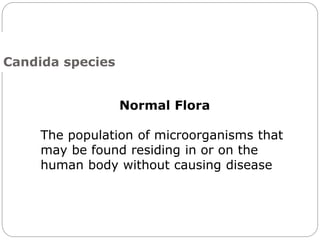 673
Candida species
The population of microorganisms that
may be found residing in or on the
human body without causing disease
Normal Flora
 