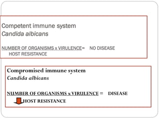 674
Competent immune system
Candida albicans
NUMBER OF ORGANISMS x VIRULENCE= NO DISEASE
HOST RESISTANCE
Compromised immune system
Candida albicans
NUMBER OF ORGANISMS xVIRULENCE = DISEASE
HOST RESISTANCE
 
