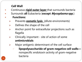70
Cell Wall
 Continuous rigid outer layer that surrounds bacteria
 Surrounds all Eubacteria (except Mycoplasma spp.)
 Functions:
 Prevents osmotic lysis (dilute environments)
 Defines the shape of the cell
 Anchor point for extracellular projections such as
flagella
 Clinically important - site of action of some
antimicrobials
 Major antigenic determinant of the cell surface
 lipopolysaccharide of gram-negative cell walls—
nonspecific endotoxin activity of gram-negative
bacteria
 