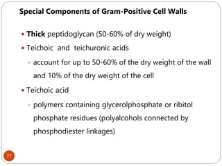 77
Special Components of Gram-Positive Cell Walls
 Thick peptidoglycan (50-60% of dry weight)
 Teichoic and teichuronic acids
 account for up to 50-60% of the dry weight of the wall
and 10% of the dry weight of the cell
 Teichoic acid
 polymers containing glycerolphosphate or ribitol
phosphate residues (polyalcohols connected by
phosphodiester linkages)
 