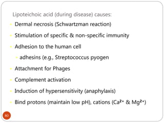 Lipoteichoic acid (during disease) causes:
80
 Dermal necrosis (Schwartzman reaction)
 Stimulation of specific & non-specific immunity
 Adhesion to the human cell
 adhesins (e.g., Streptococcus pyogen
 Attachment for Phages
 Complement activation
 Induction of hypersensitivity (anaphylaxis)
 Bind protons (maintain low pH), cations (Ca2+ & Mg2+)
 
