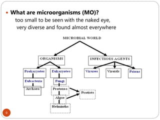 9
 What are microorganisms (MO)?
 too small to be seen with the naked eye,
• very diverse and found almost everywhere
 