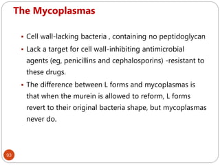 The Mycoplasmas
93
 Cell wall-lacking bacteria , containing no peptidoglycan
 Lack a target for cell wall-inhibiting antimicrobial
agents (eg, penicillins and cephalosporins) -resistant to
these drugs.
 The difference between L forms and mycoplasmas is
that when the murein is allowed to reform, L forms
revert to their original bacteria shape, but mycoplasmas
never do.
 