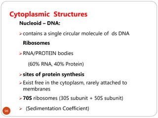 Cytoplasmic Structures
98
Nucleoid – DNA:
contains a single circular molecule of ds DNA
Ribosomes
RNA/PROTEIN bodies
(60% RNA, 40% Protein)
sites of protein synthesis
Exist free in the cytoplasm, rarely attached to
membranes
70S ribosomes (30S subunit + 50S subunit)
 (Sedimentation Coefficient)
 