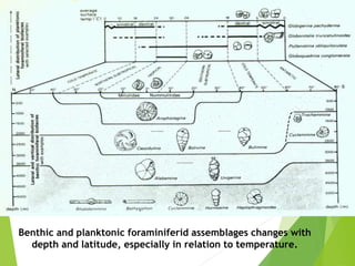 Benthic and planktonic foraminiferid assemblages changes with
depth and latitude, especially in relation to temperature.
 