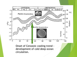 Onset of Cenozoic cooling trend -
development of cold deep ocean
circulation.
 