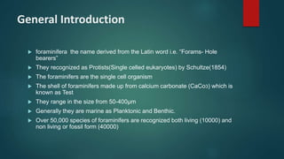 General Introduction
 foraminifera the name derived from the Latin word i.e. “Forams- Hole
bearers”
 They recognized as Protists(Single celled eukaryotes) by Schultze(1854)
 The foraminifers are the single cell organism
 The shell of foraminifers made up from calcium carbonate (CaCo3) which is
known as Test
 They range in the size from 50-400µm
 Generally they are marine as Planktonic and Benthic.
 Over 50,000 species of foraminifers are recognized both living (10000) and
non living or fossil form (40000)
 