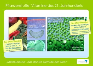 „MikroGemüse - das kleinste Gemüse der Welt.“
Tomate
Lycopersicon esculentum
Sellerie
Apium graveolens
Brokkoli
Brassica oleracea
MikroGemüse
Bsp.: Chlorella vulgaris
MikroGemüse
zu Tabletten gepresst
0,01mm
Pflanzenstoffe: Vitamine des 21. Jahrhunderts
 