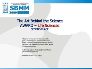 The Art Behind the Science AWARD –  Life Sciences SECOND PLACE &quot;Electron micrograph of mosquito of the genus Haemagogus vector of wild yellow fever. Scanning electron microscopy reveals details of the scales and bristles of the wings of these mosquitoes.“ Author(s):  Jacenir Reis dos Santos Mallet (Jacenir Santos-Mallet) Affiliation: LTL/IOC/FIOCRUZ 