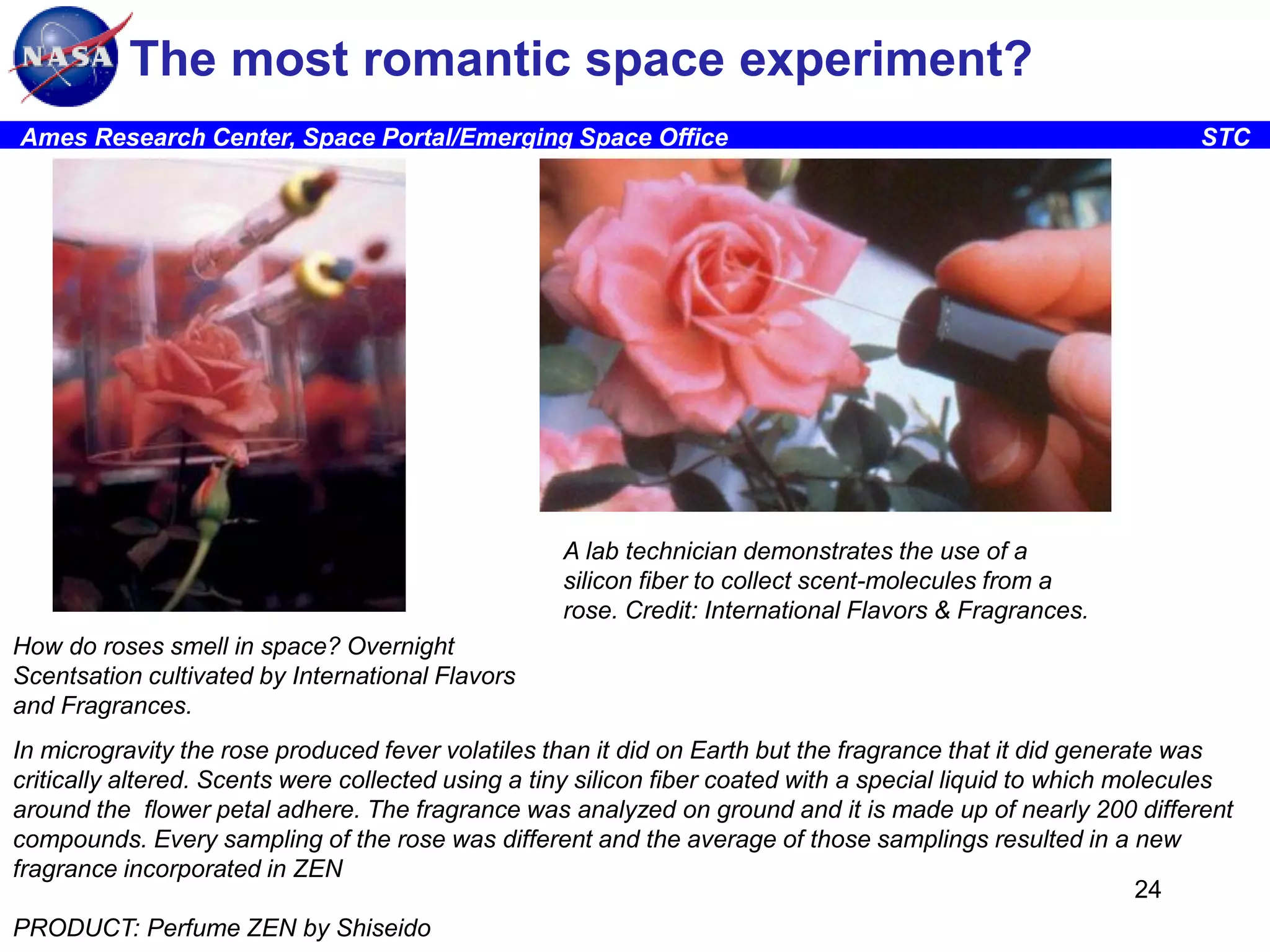 The most romantic space experiment?
Ames Research Center, Space Portal/Emerging Space Office

STC

A lab technician demonstrates the use of a
silicon fiber to collect scent-molecules from a
rose. Credit: International Flavors & Fragrances.
How do roses smell in space? Overnight
Scentsation cultivated by International Flavors
and Fragrances.
In microgravity the rose produced fever volatiles than it did on Earth but the fragrance that it did generate was
critically altered. Scents were collected using a tiny silicon fiber coated with a special liquid to which molecules
around the flower petal adhere. The fragrance was analyzed on ground and it is made up of nearly 200 different
compounds. Every sampling of the rose was different and the average of those samplings resulted in a new
fragrance incorporated in ZEN
24
PRODUCT: Perfume ZEN by Shiseido

 