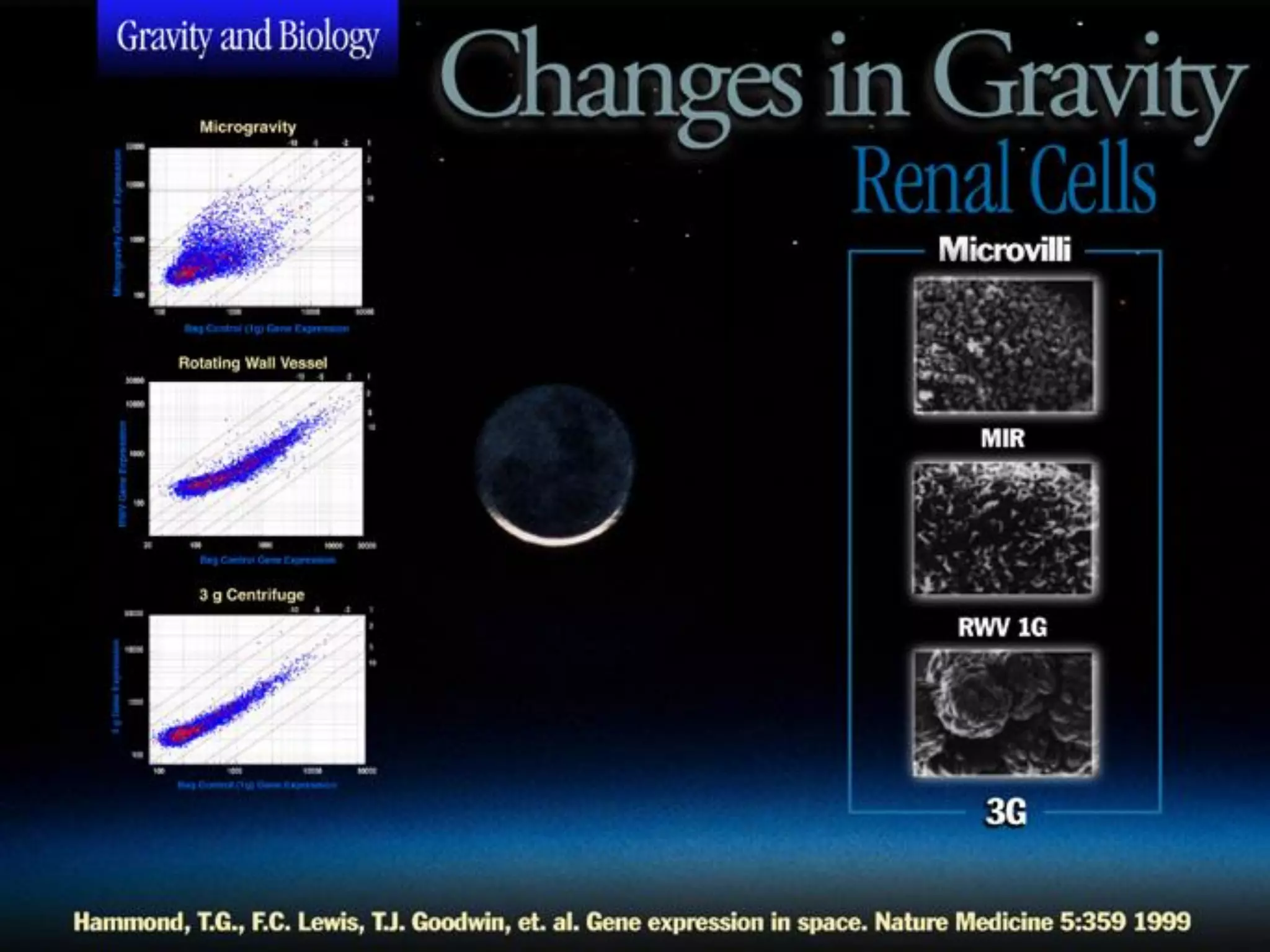 Ames Research Center, Space Portal/Emerging Space Office

STC

 