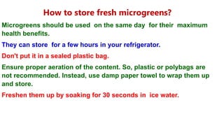 How to store fresh microgreens?
Microgreens should be used on the same day for their maximum
health benefits.
They can store for a few hours in your refrigerator.
Don't put it in a sealed plastic bag.
Ensure proper aeration of the content. So, plastic or polybags are
not recommended. Instead, use damp paper towel to wrap them up
and store.
Freshen them up by soaking for 30 seconds in ice water.
 