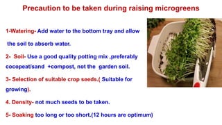 1-Watering- Add water to the bottom tray and allow
the soil to absorb water.
2- Soil- Use a good quality potting mix ,preferably
cocopeat/sand +compost, not the garden soil.
3- Selection of suitable crop seeds.( Suitable for
growing).
4. Density- not much seeds to be taken.
5- Soaking too long or too short.(12 hours are optimum)
Precaution to be taken during raising microgreens
 