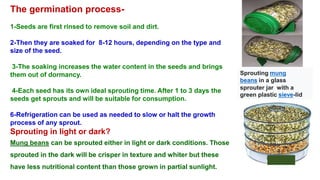 Sprouting mung
beans in a glass
sprouter jar with a
green plastic sieve-lid
The germination process-
1-Seeds are first rinsed to remove soil and dirt.
2-Then they are soaked for 8-12 hours, depending on the type and
size of the seed.
3-The soaking increases the water content in the seeds and brings
them out of dormancy.
4-Each seed has its own ideal sprouting time. After 1 to 3 days the
seeds get sprouts and will be suitable for consumption.
6-Refrigeration can be used as needed to slow or halt the growth
process of any sprout.
Sprouting in light or dark?
Mung beans can be sprouted either in light or dark conditions. Those
sprouted in the dark will be crisper in texture and whiter but these
have less nutritional content than those grown in partial sunlight.
 