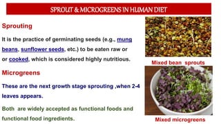 SPROUT & MICROGREENS IN HUMAN DIET
Sprouting
It is the practice of germinating seeds (e.g., mung
beans, sunflower seeds, etc.) to be eaten raw or
or cooked, which is considered highly nutritious.
Microgreens
These are the next growth stage sprouting ,when 2-4
leaves appears.
Both are widely accepted as functional foods and
functional food ingredients.
Mixed bean sprouts
Mixed microgreens
 