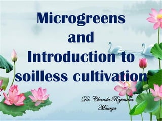 Microgreens
and
Introduction to
soilless cultivation
Dr. Chanda Rajendra
Maurya
 