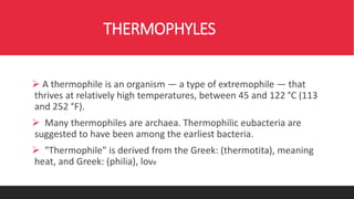 THERMOPHYLES
 A thermophile is an organism — a type of extremophile — that
thrives at relatively high temperatures, between 45 and 122 °C (113
and 252 °F).
 Many thermophiles are archaea. Thermophilic eubacteria are
suggested to have been among the earliest bacteria.
 "Thermophile" is derived from the Greek: (thermotita), meaning
heat, and Greek: (philia), love
 