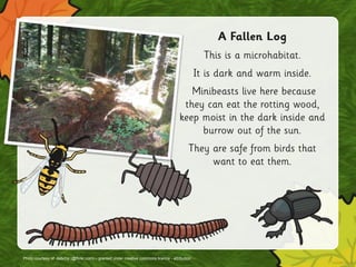 Photo courtesy of debcha (@flickr.com) – granted under creative commons licence - attribution
 