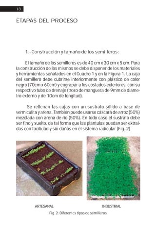 18


ETAPAS DEL PROCESO




     1.- Construcción y tamaño de los semilleros:

     El tamaño de los semilleros es de 40 cm x 30 cm x 5 cm. Para
la construcción de los mismos se debe disponer de los materiales
y herramientas señalados en el Cuadro 1 y en la Figura 1. La caja
del semillero debe cubrirse interiormente con plástico de color
negro (70cm x 60cm) y engrapar a los costados exteriores, con su
respectivo tubo de drenaje (trozo de manguera de 9mm de diáme-
tro externo y de 10cm de longitud).

       Se rellenan las cajas con un sustrato sólido a base de
vermiculita y arena. También puede usarse cáscara de arroz (50%)
mezclada con arena de río (50%). En todo caso el sustrato debe
ser fino y suelto, de tal forma que las plántulas puedan ser extraí-
das con facilidad y sin daños en el sistema radicular (Fig. 2).




          ARTESANAL                                  INDUSTRIAL
                  Fig. 2. Diferentes tipos de semilleros
 