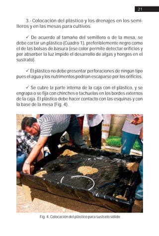 21


     3.- Colocación del plástico y los drenajes en los semi-
lleros y en las mesas para cultivos.

     ! De acuerdo al tamaño del semillero o de la mesa, se
debe cortar un plástico (Cuadro 1), preferiblemente negro como
el de las bolsas de basura (ese color permite detectar orificios y
por absorber la luz impide el desarrollo de algas y hongos en el
sustrato).

    ! Él plástico no debe presentar perforaciones de ningún tipo
pues el agua y los nutrimentos podrían escaparse por los orificios.

     ! Se cubre la parte interna de la caja con el plástico, y se
engrapa o se fija con chinches o tachuelas en los bordes externos
de la caja. El plástico debe hacer contacto con las esquinas y con
la base de la mesa (Fig. 4).




            Fig. 4. Colocación del plástico para sustrato sólido
 