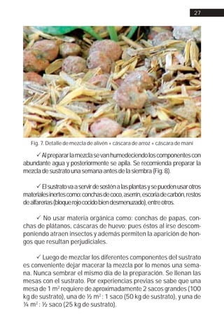 27




   Fig. 7. Detalle de mezcla de alivén + cáscara de arroz + cáscara de maní

    ! Al preparar la mezcla se van humedeciendo los componentes con
abundante agua y posteriormente se apila. Se recomienda preparar la
mezcla de sustrato una semana antes de la siembra (Fig. 8).

      ! El sustrato va a servir de sostén a las plantas y se pueden usar otros
materiales inertes como: conchas de coco, aserrín, escoria de carbón, restos
de alfarerías (bloque rojo cocido bien desmenuzado), entre otros.

     ! No usar materia orgánica como: conchas de papas, con-
chas de plátanos, cáscaras de huevo; pues éstos al irse descom-
poniendo atraen insectos y además permiten la aparición de hon-
gos que resultan perjudiciales.

     ! Luego de mezclar los diferentes componentes del sustrato
es conveniente dejar macerar la mezcla por lo menos una sema-
na. Nunca sembrar el mismo día de la preparación. Se llenan las
mesas con el sustrato. Por experiencias previas se sabe que una
mesa de 1 m2 requiere de aproximadamente 2 sacos grandes (100
kg de sustrato), una de ½ m2 : 1 saco (50 kg de sustrato), y una de
¼ m2 : ½ saco (25 kg de sustrato).
 