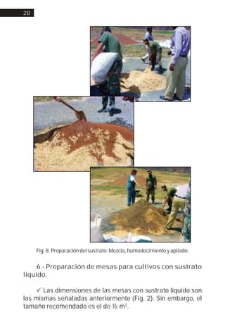 28




     Fig. 8. Preparación del sustrato: Mezcla, humedecimiento y apilado.

     6.- Preparación de mesas para cultivos con sustrato
líquido.

     ! Las dimensiones de las mesas con sustrato líquido son
las mismas señaladas anteriormente (Fig. 2). Sin embargo, el
tamaño recomendado es el de ½ m2.
 