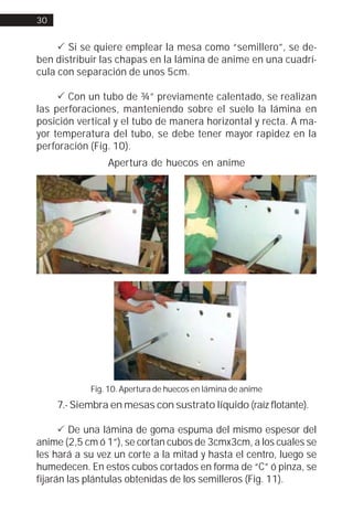 30


     ! Si se quiere emplear la mesa como “semillero”, se de-
ben distribuir las chapas en la lámina de anime en una cuadrí-
cula con separación de unos 5cm.

     ! Con un tubo de ¾” previamente calentado, se realizan
las perforaciones, manteniendo sobre el suelo la lámina en
posición vertical y el tubo de manera horizontal y recta. A ma-
yor temperatura del tubo, se debe tener mayor rapidez en la
perforación (Fig. 10).
                Apertura de huecos en anime




            Fig. 10. Apertura de huecos en lámina de anime
     7.- Siembra en mesas con sustrato líquido (raíz flotante).

      ! De una lámina de goma espuma del mismo espesor del
anime (2,5 cm ó 1”), se cortan cubos de 3cmx3cm, a los cuales se
les hará a su vez un corte a la mitad y hasta el centro, luego se
humedecen. En estos cubos cortados en forma de “C” ó pinza, se
fijarán las plántulas obtenidas de los semilleros (Fig. 11).
 