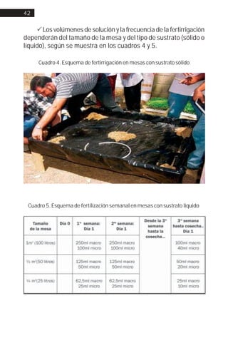 42


     ! Los volúmenes de solución y la frecuencia de la fertirrigación
dependerán del tamaño de la mesa y del tipo de sustrato (sólido o
líquido), según se muestra en los cuadros 4 y 5.

     Cuadro 4. Esquema de fertirrigación en mesas con sustrato sólido




 Cuadro 5. Esquema de fertilización semanal en mesas con sustrato líquido
 