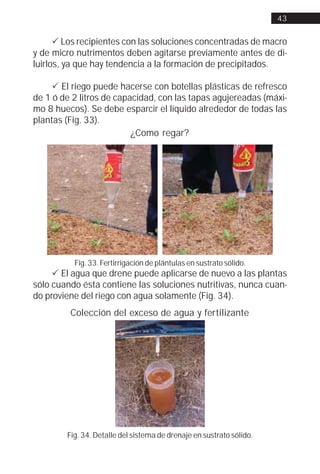 43


      ! Los recipientes con las soluciones concentradas de macro
y de micro nutrimentos deben agitarse previamente antes de di-
luirlos, ya que hay tendencia a la formación de precipitados.

     ! El riego puede hacerse con botellas plásticas de refresco
de 1 ó de 2 litros de capacidad, con las tapas agujereadas (máxi-
mo 8 huecos). Se debe esparcir el líquido alrededor de todas las
plantas (Fig. 33).
                          ¿Como regar?




          Fig. 33. Fertirrigación de plántulas en sustrato sólido.
     ! El agua que drene puede aplicarse de nuevo a las plantas
sólo cuando ésta contiene las soluciones nutritivas, nunca cuan-
do proviene del riego con agua solamente (Fig. 34).
         Colección del exceso de agua y fertilizante




        Fig. 34. Detalle del sistema de drenaje en sustrato sólido.
 
