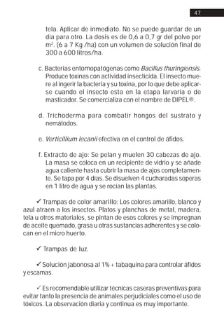 47


        tela. Aplicar de inmediato. No se puede guardar de un
        día para otro. La dosis es de 0,6 a 0,7 gr del polvo por
        m2. (6 a 7 Kg /ha) con un volumen de solución final de
        300 a 600 litros/ha.

     c. Bacterias entomopatógenas como Bacillus thuringiensis.
        Produce toxinas con actividad insecticida. El insecto mue-
        re al ingerir la bacteria y su toxina, por lo que debe aplicar-
        se cuando el insecto esta en la etapa larvaria o de
        masticador. Se comercializa con el nombre de DIPEL®.

     d. Trichoderma para combatir hongos del sustrato y
        nemátodos.

     e. Verticillium lecanii efectiva en el control de áfidos.

     f. Extracto de ajo: Se pelan y muelen 30 cabezas de ajo.
        La masa se coloca en un recipiente de vidrio y se añade
        agua caliente hasta cubrir la masa de ajos completamen-
        te. Se tapa por 4 días. Se disuelven 4 cucharadas soperas
        en 1 litro de agua y se rocían las plantas.

     ! Trampas de color amarillo: Los colores amarillo, blanco y
azul atraen a los insectos. Platos y planchas de metal, madera,
tela u otros materiales, se pintan de esos colores y se impregnan
de aceite quemado, grasa u otras sustancias adherentes y se colo-
can en el micro huerto.

    ! Trampas de luz.

     ! Solución jabonosa al 1% + tabaquina para controlar áfidos
y escamas.

     ! Es recomendable utilizar técnicas caseras preventivas para
evitar tanto la presencia de animales perjudiciales como el uso de
tóxicos. La observación diaria y continua es muy importante.
 