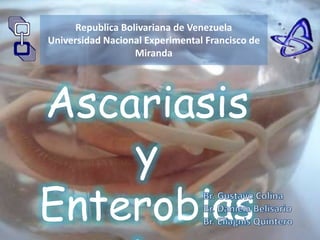 Republica Bolivariana de Venezuela 
Universidad Nacional Experimental Francisco de 
Miranda 
Ascariasis 
y 
Enterobias 
is 
 