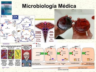 Microbiología Médica
 