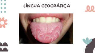 LÍNGUA GEOGRÁFICA
 