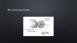 Microinjection Method Instrument DNA Micro injection - gene transfer method | PPTX