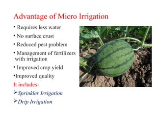 Advantage of Micro Irrigation
• Requires less water
• No surface crust
• Reduced pest problem
• Management of fertilizers
with irrigation
• Improved crop yield
•Improved quality
It includes-
Sprinkler Irrigation
Drip Irrigation
 