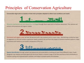 Principles of Conservation Agriculture
•
 