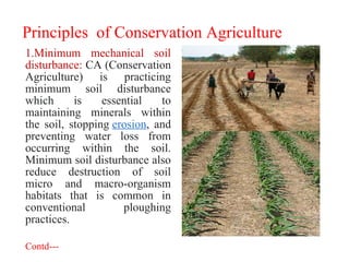 Principles of Conservation Agriculture
1.Minimum mechanical soil
disturbance: CA (Conservation
Agriculture) is practicing
minimum soil disturbance
which is essential to
maintaining minerals within
the soil, stopping erosion, and
preventing water loss from
occurring within the soil.
Minimum soil disturbance also
reduce destruction of soil
micro and macro-organism
habitats that is common in
conventional ploughing
practices.
Contd---
 