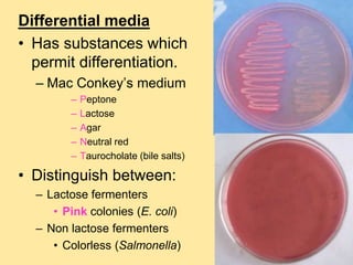 Differential media
• Has substances which
permit differentiation.
– Mac Conkey’s medium
– Peptone
– Lactose
– Agar
– Neutral red
– Taurocholate (bile salts)
• Distinguish between:
– Lactose fermenters
• Pink colonies (E. coli)
– Non lactose fermenters
• Colorless (Salmonella)
 