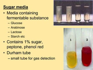 Sugar media
• Media containing
fermentable substance
– Glucose
– Arabinose
– Lactose
– Starch etc
• Contains 1% sugar,
peptone, phenol red
• Durham tube
– small tube for gas detection
 