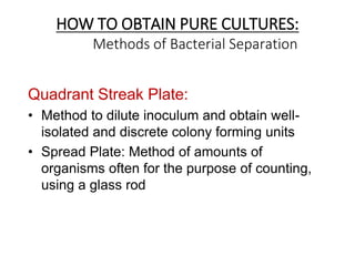 HOW TO OBTAIN PURE CULTURES:
Methods of Bacterial Separation
Quadrant Streak Plate:
• Method to dilute inoculum and obtain well-
isolated and discrete colony forming units
• Spread Plate: Method of amounts of
organisms often for the purpose of counting,
using a glass rod
 