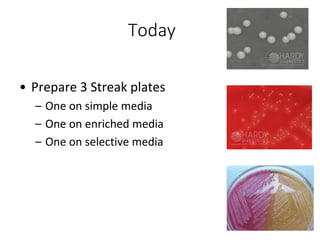 Today
• Prepare 3 Streak plates
– One on simple media
– One on enriched media
– One on selective media
 