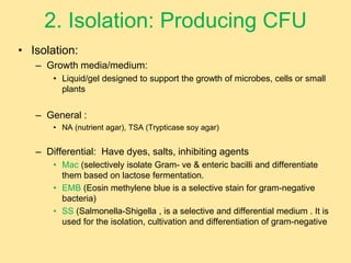 2. Isolation: Producing CFU
• Isolation:
– Growth media/medium:
• Liquid/gel designed to support the growth of microbes, cells or small
plants
– General :
• NA (nutrient agar), TSA (Trypticase soy agar)
– Differential: Have dyes, salts, inhibiting agents
• Mac (selectively isolate Gram- ve & enteric bacilli and differentiate
them based on lactose fermentation.
• EMB (Eosin methylene blue is a selective stain for gram-negative
bacteria)
• SS (Salmonella-Shigella , is a selective and differential medium . It is
used for the isolation, cultivation and differentiation of gram-negative
 